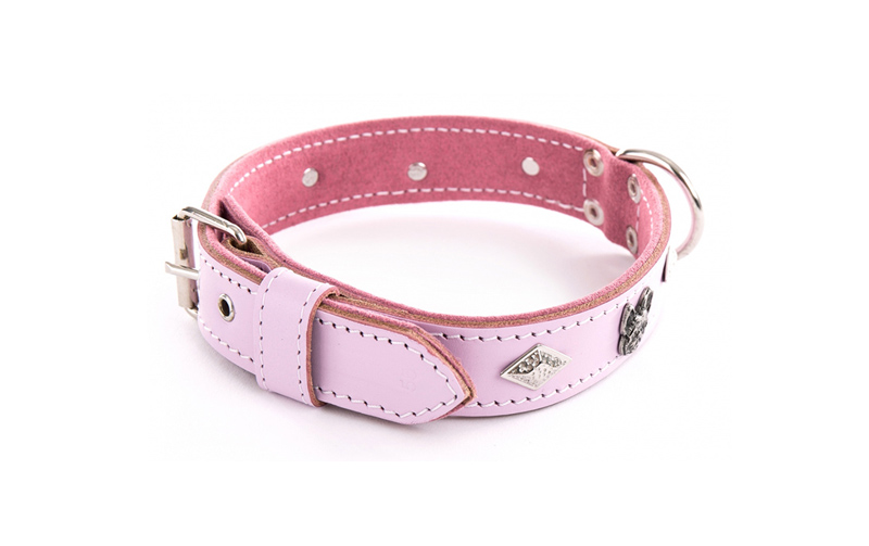 Sellerie Canine Vendéenne