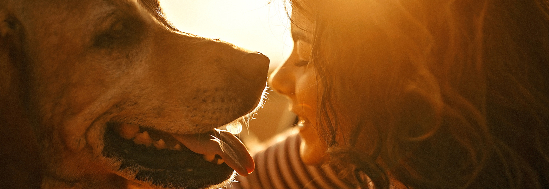 De 1927 à aujourd'hui