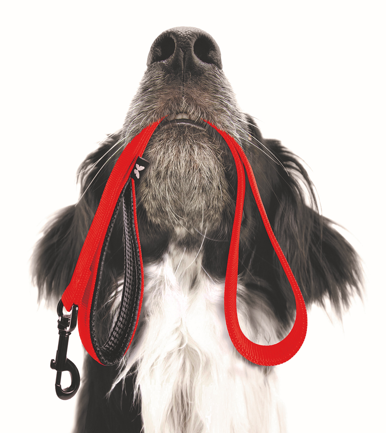 Martin, la marque au Papillon